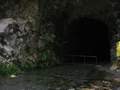 Picture 29