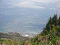 Picture 100